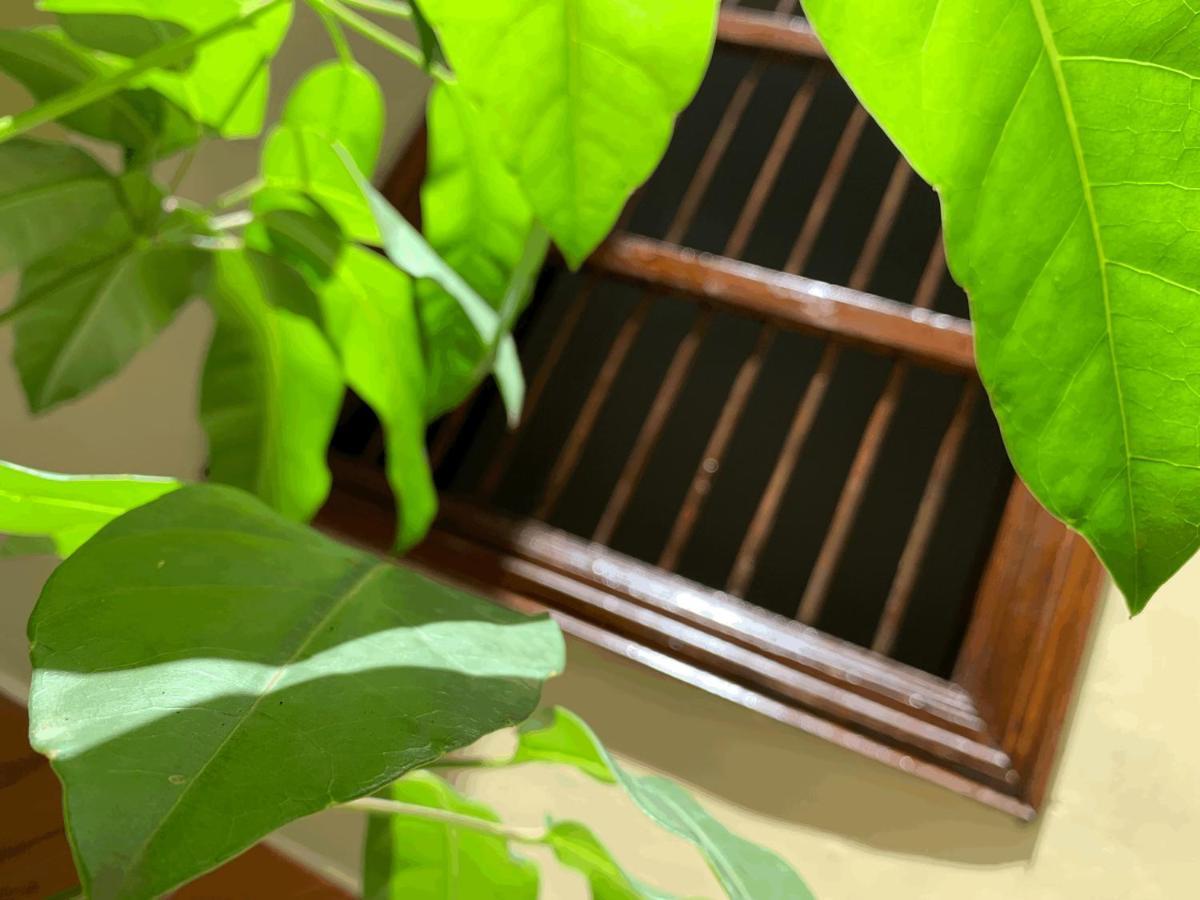 Appartamento Casa Grande Medellín Esterno foto